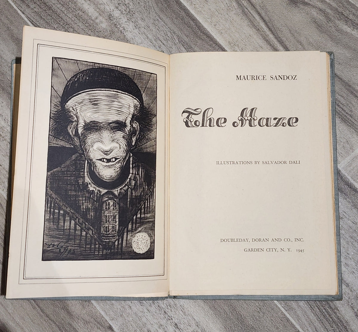 Book: The Maze - Maurice Sandoz