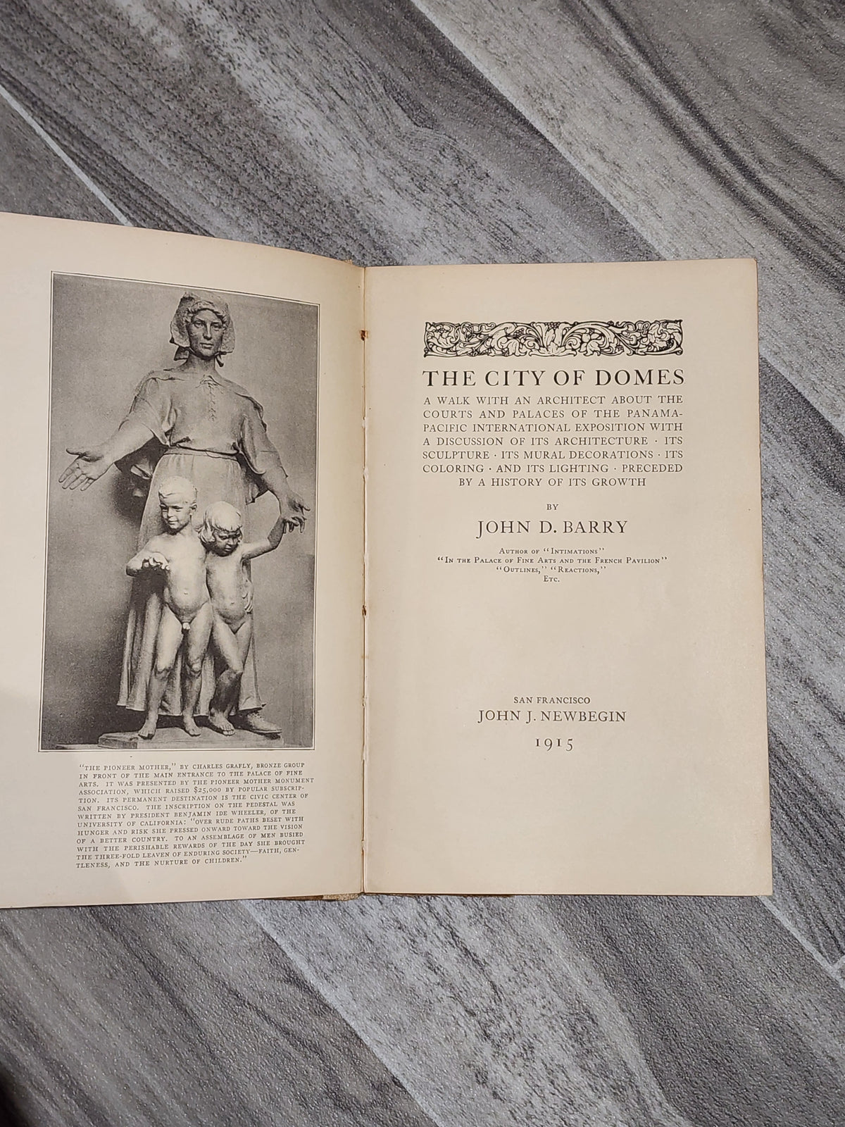 Book: The City of Domes - John D. Barry