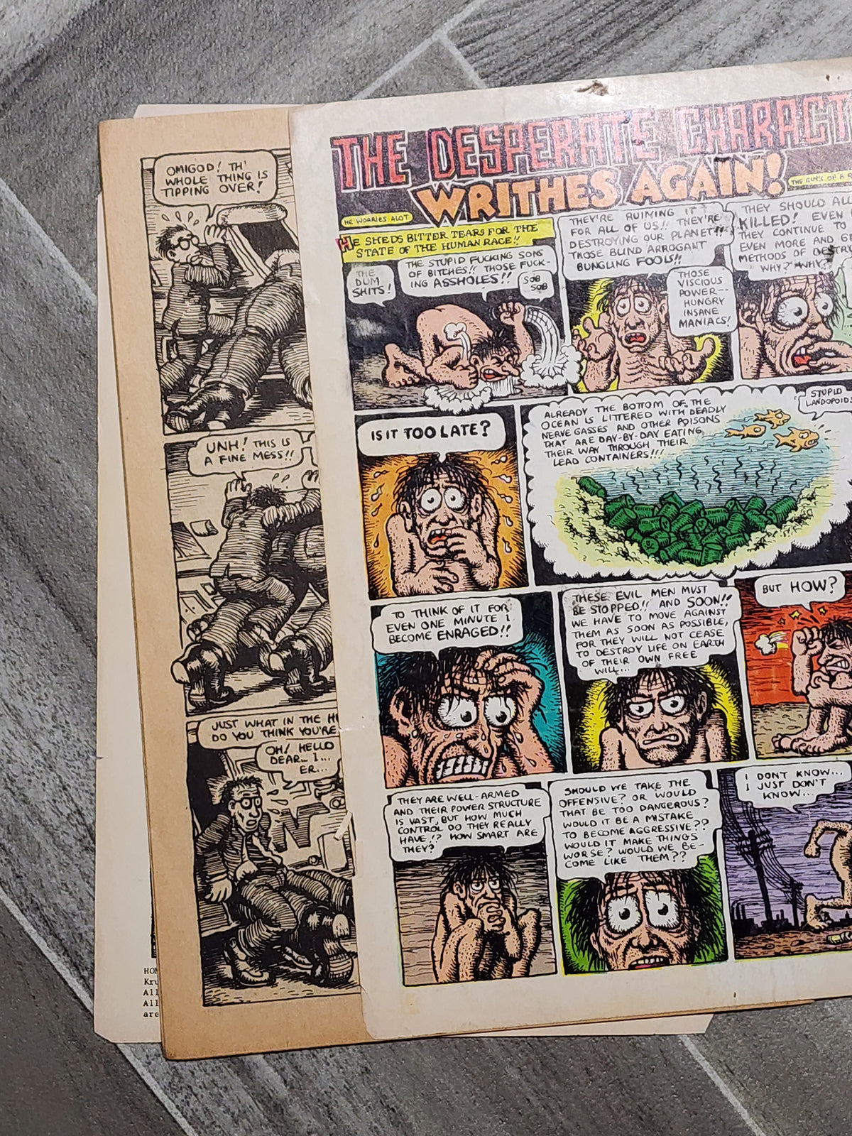 Comic: Home Grown Funnies - R. Crumb
