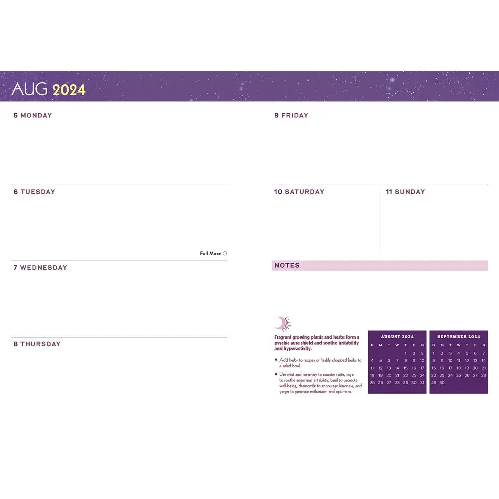 Books: Modern Mystic 17-month 2025 Planner