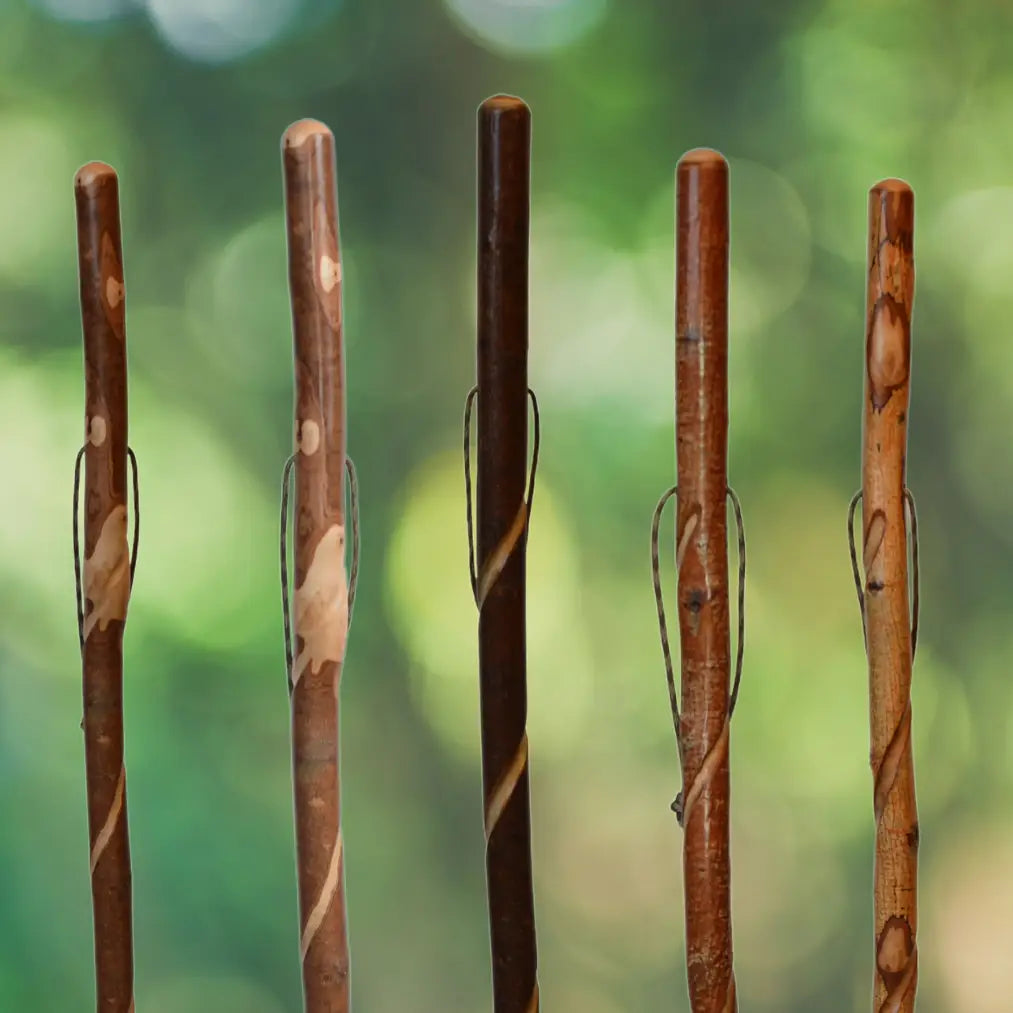 Walking Sticks: Adult & Child (Cubs)