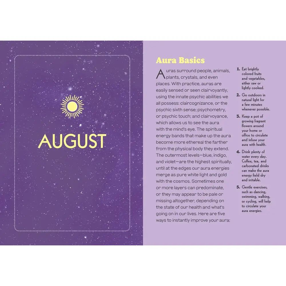 Books: Modern Mystic 17-month 2025 Planner