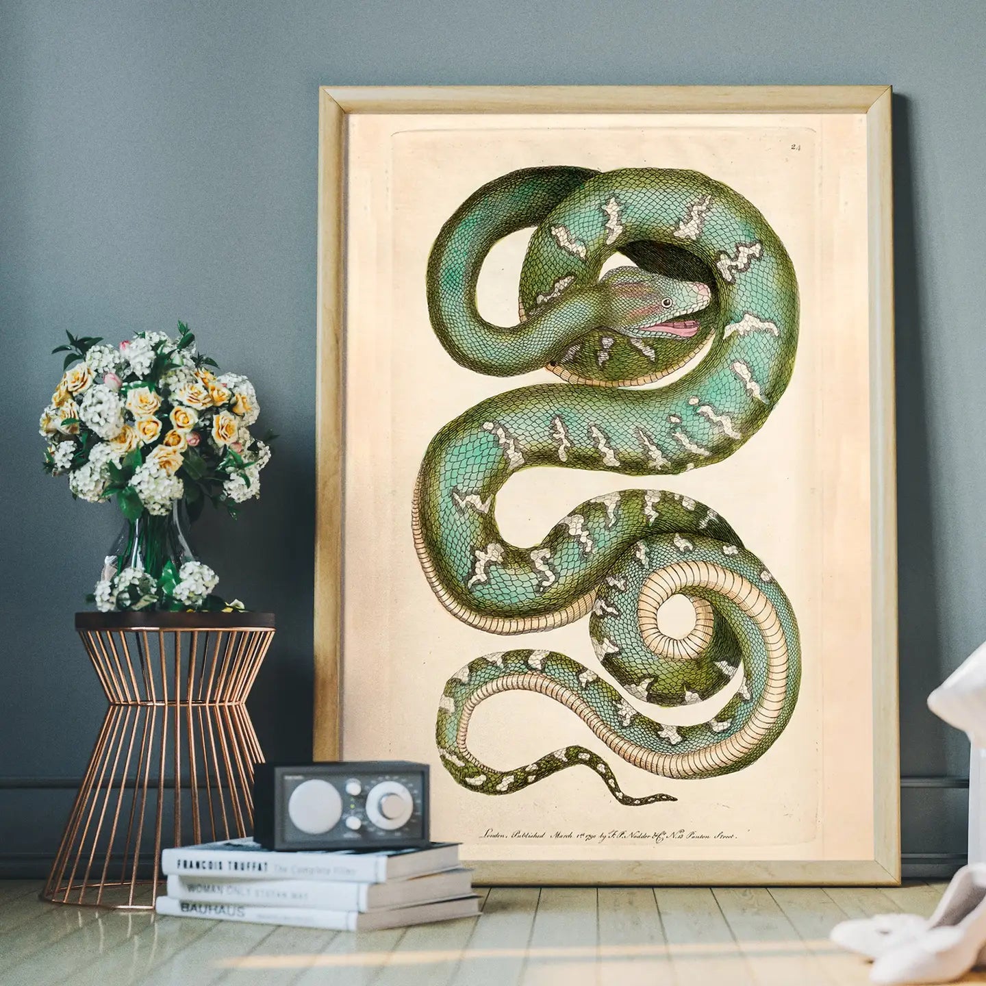 Art Print: Vintage Canine Boa Snake