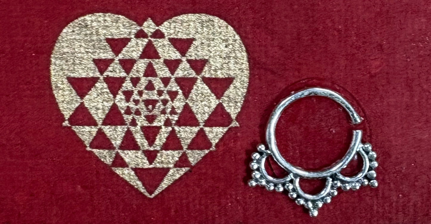 Nose Ring (Septum) /Sterling Silver (Various Styles)