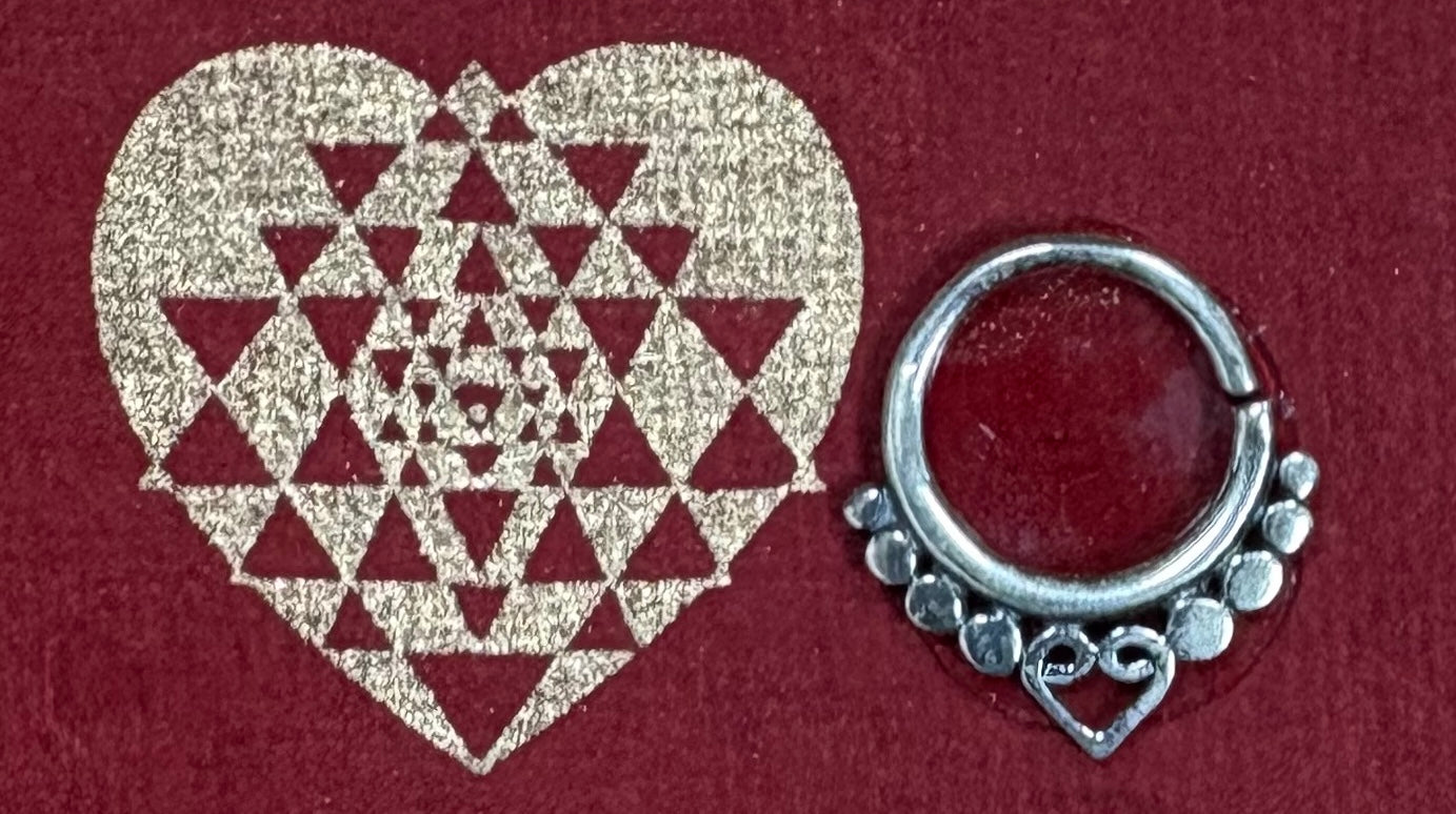 Nose Ring (Septum) /Sterling Silver (Various Styles)