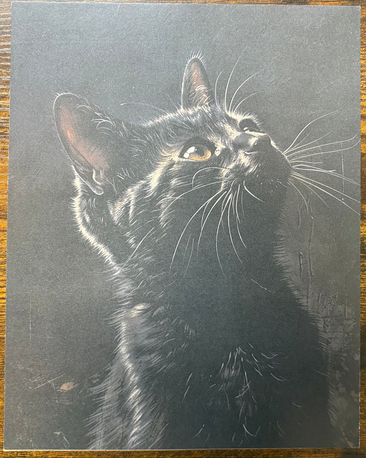 Art Print: Black Cat Art