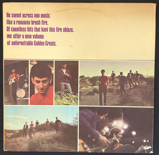 Compilation: Gary Lewis & The Playboys - More Golden Greats (JH)