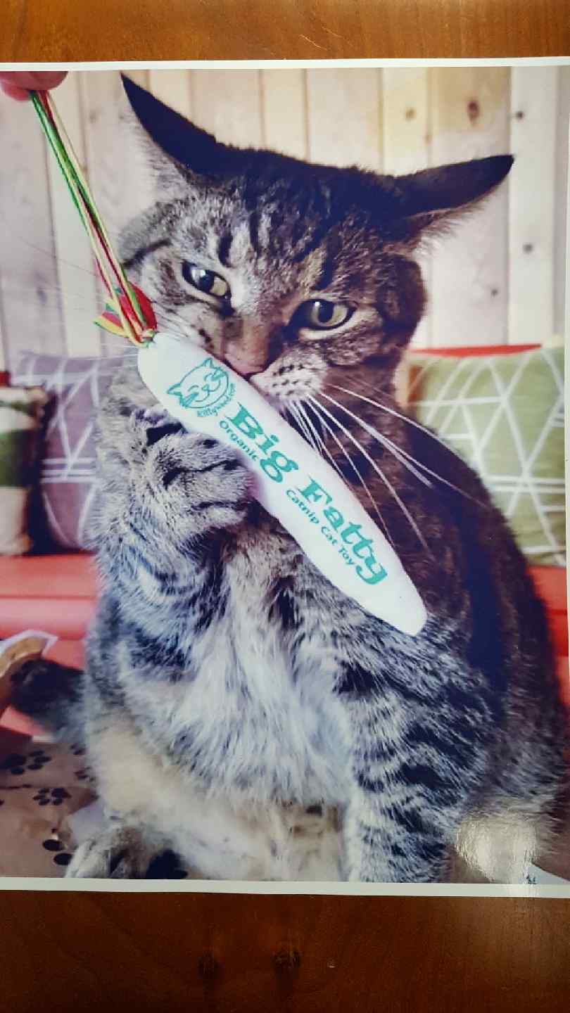 Kitty Weed - "Big Fatty" toy & BIGGER Fatty