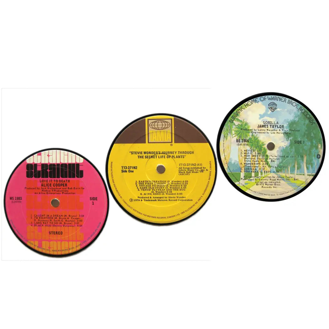Magnet: Vinyl Record (Various)