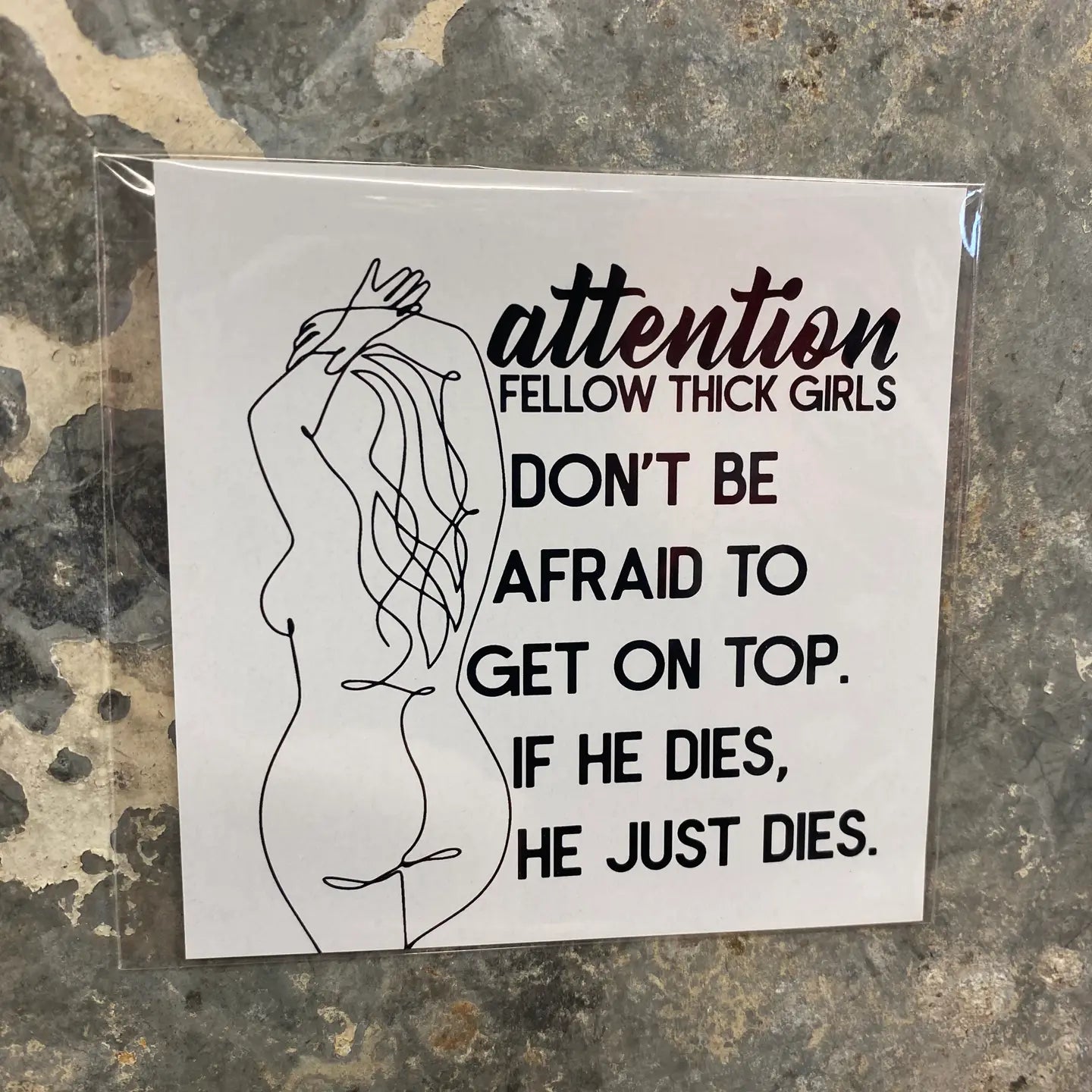 Magnets: Thick Girls