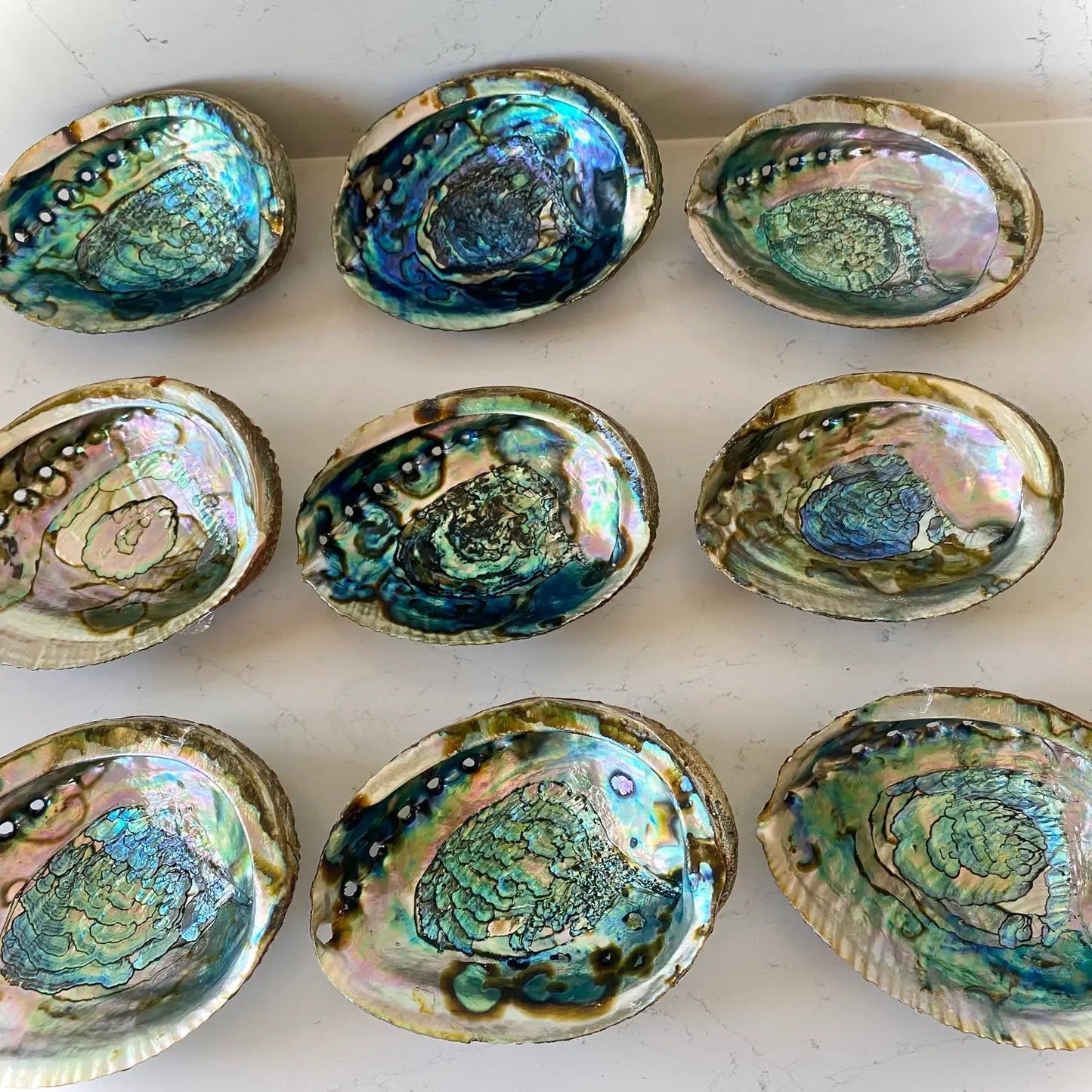 Smudge: Abalone Shell Bowl