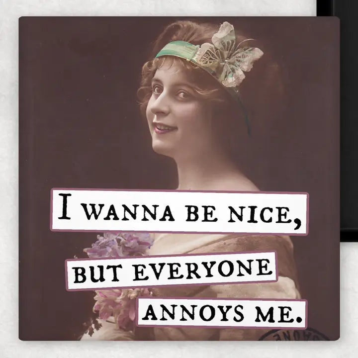 Magnet: I Wanna Be Nice, But Everyone Annoys Me