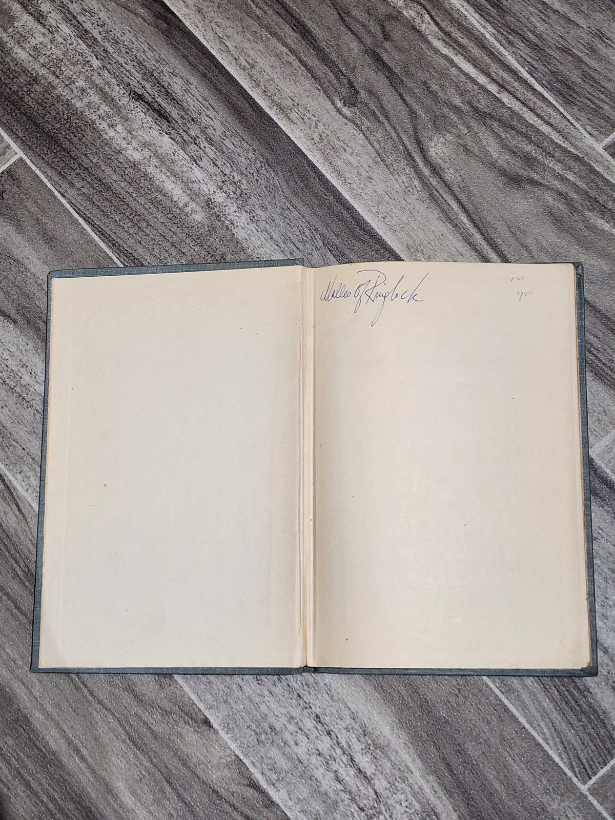 Book: The Maze - Maurice Sandoz