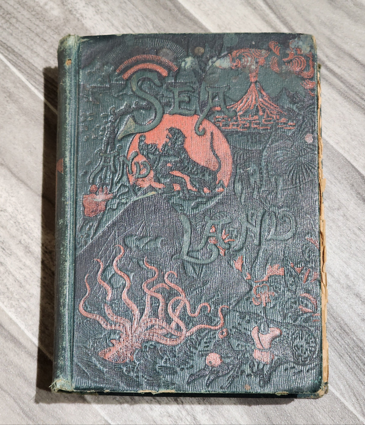 Book: Sea & Land - J. W. Buel