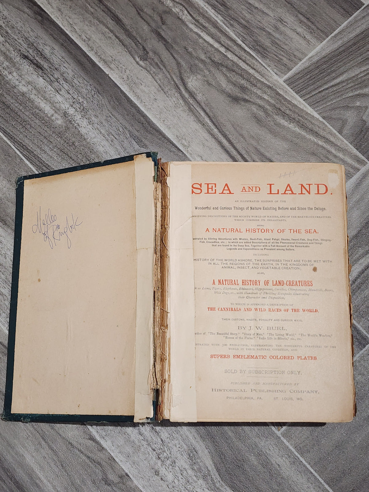 Book: Sea & Land - J. W. Buel