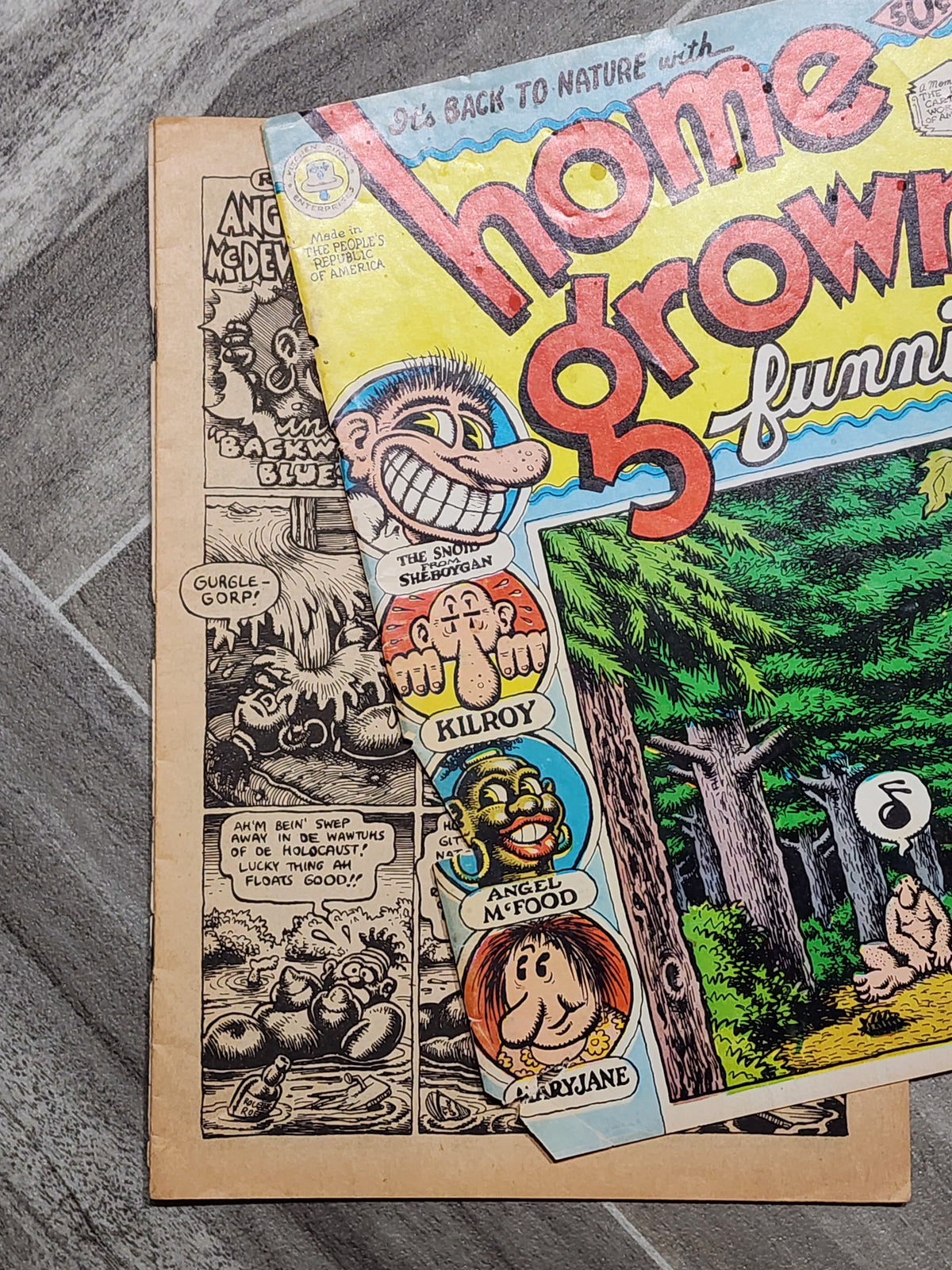 Comic: Home Grown Funnies - R. Crumb