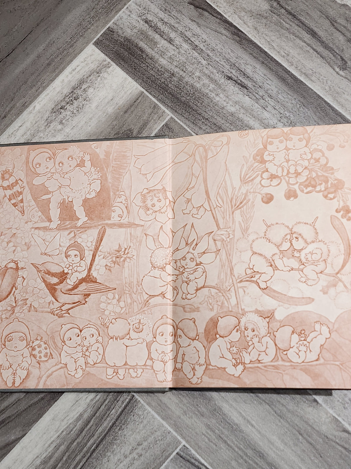 Book: The Complete Adventures of Snugglepot and Cuddlepie - May Gibbs
