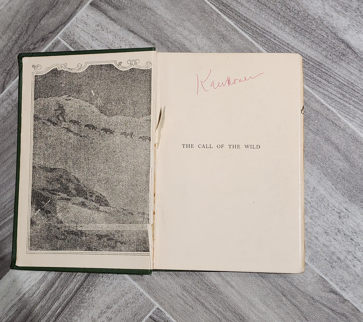 Book: The Call of The Wild - Jack London