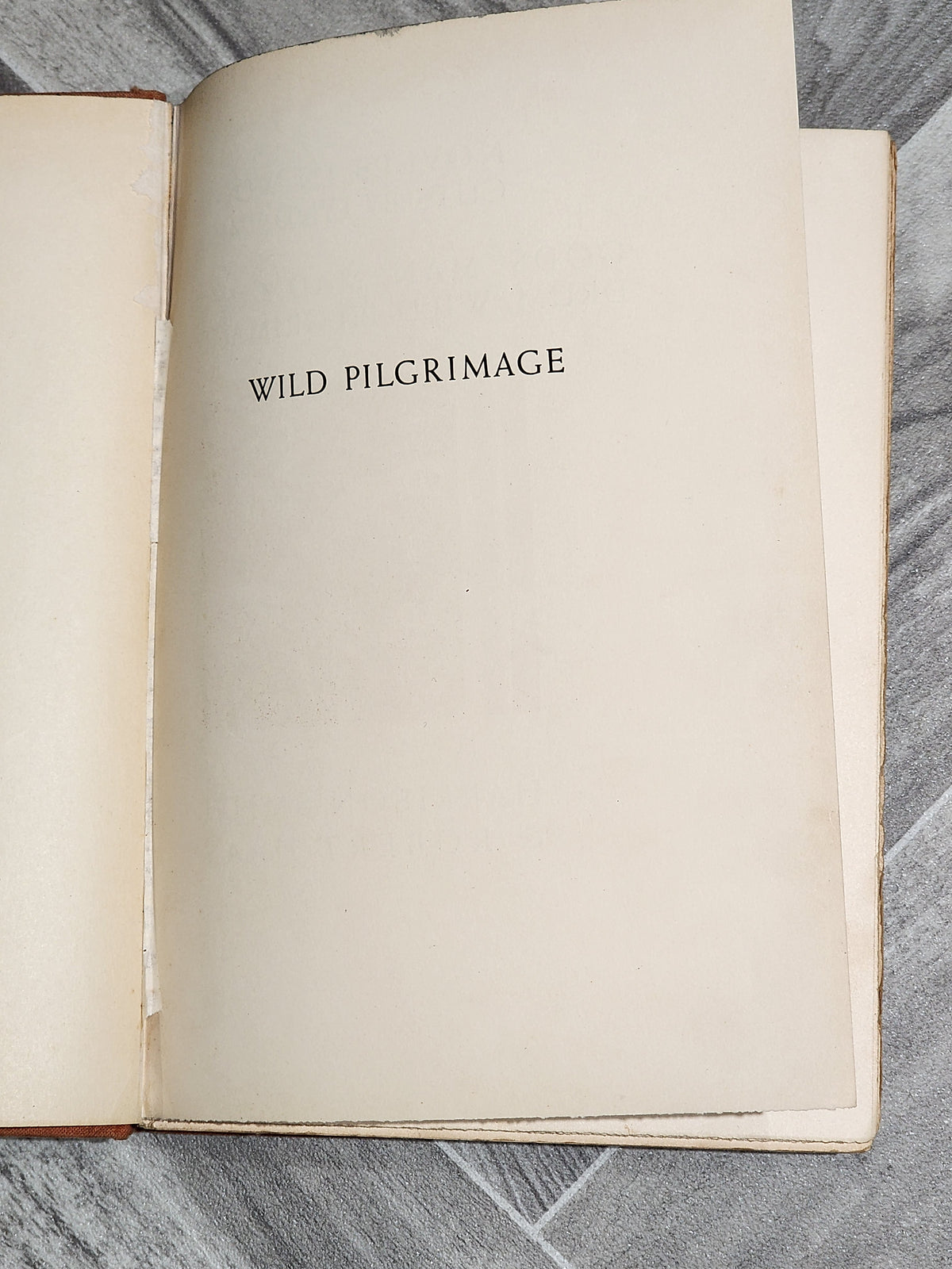 Book: Wild Pilgrimage - Lynd Ward