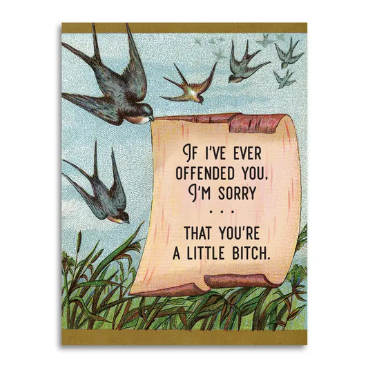 Cards: I'm Sorry You're Offended...
