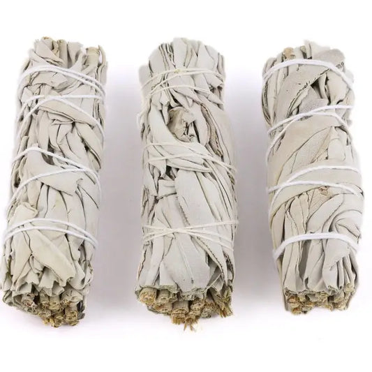 Sage: White Sage