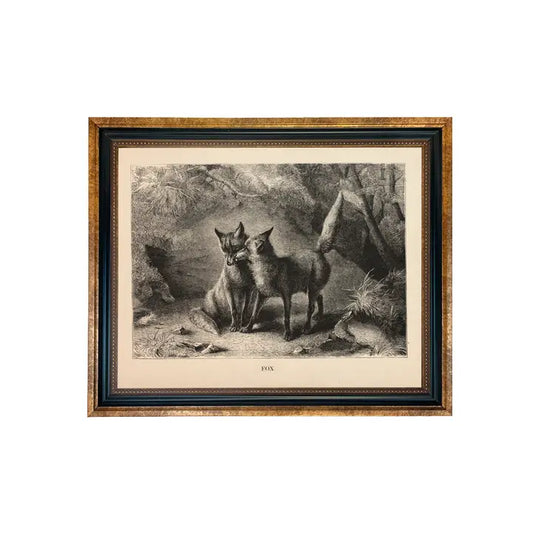 Art Print: Vintage Fox Engraving Reproduction (Framed)