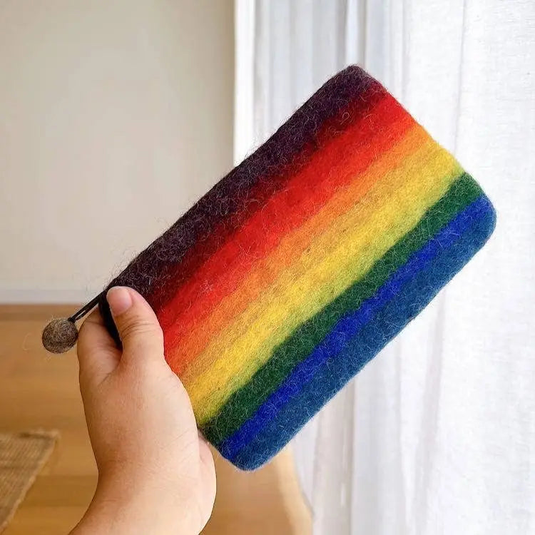 Pouch: Felted Rainbow