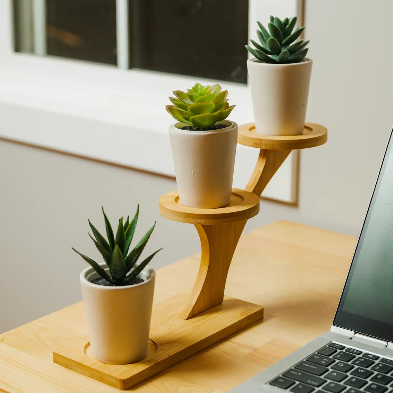 Plant Stand: Bamboo Three-Tier Succulent Plant stand