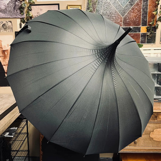 Umbrella: Black/Plain Umbrella