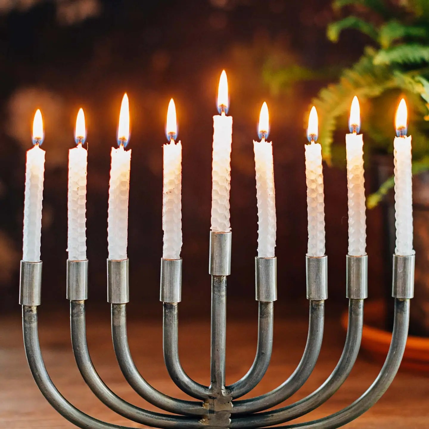 Menorah: Wrought Iron