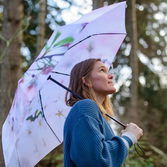 Umbrella: Cherry Blossoms