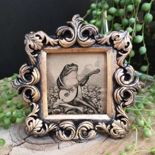 Framed Print: Mini Vintage Framed Frog, Raccoon and Fossil Print
