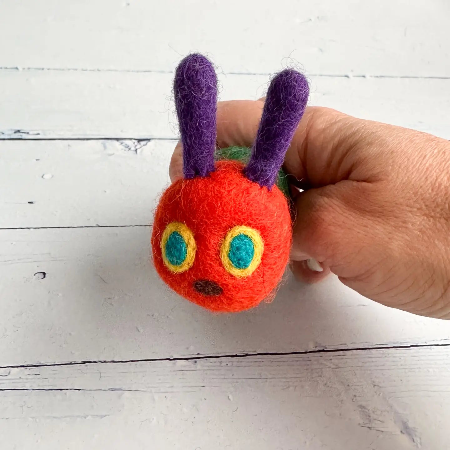 Felted Very Hungry Caterpillar