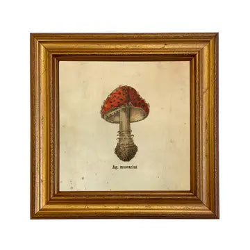 Art Print: Muscaria Mushroom (Framed)