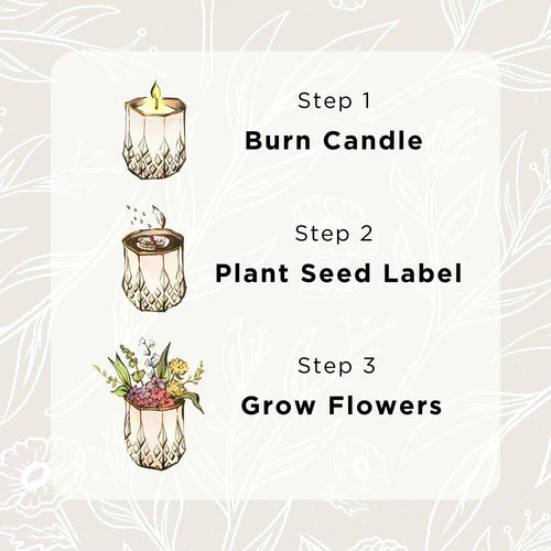 Candles: Growing Candle with Flower Seed-Label (Various Scents)