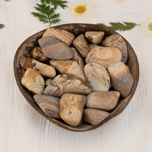 Crystals: Picture Jasper