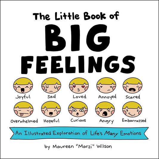 Books: The Little Book of Big Feelings