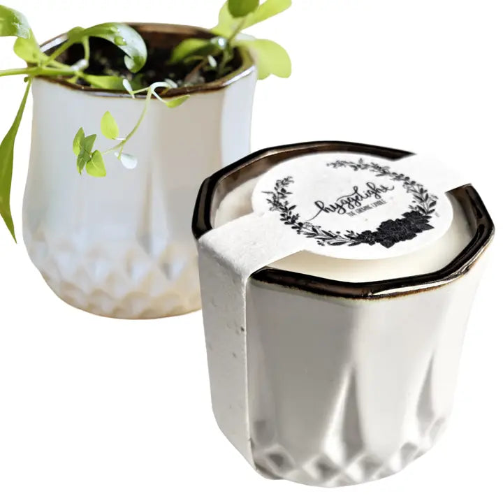Candles: Growing Candle with Flower Seed-Label (Various Scents)