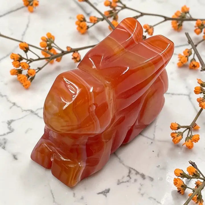 Crystal Bunnies: (Various)
