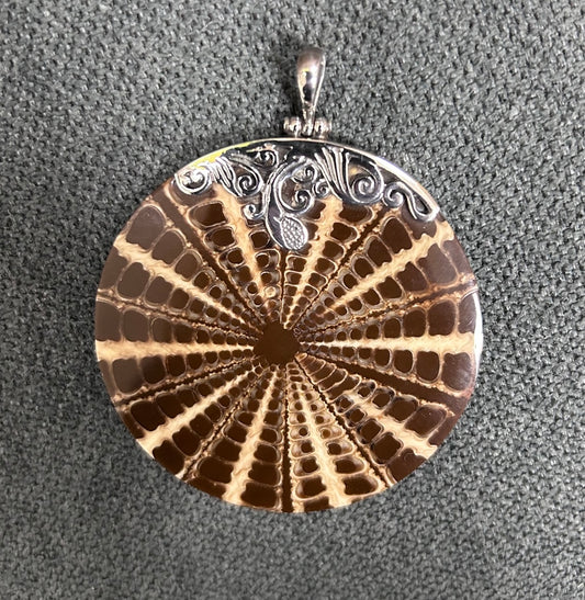 Pendant: Brown/Beige Nautilus Shell 925 Sterling Pendant (Second Chances)