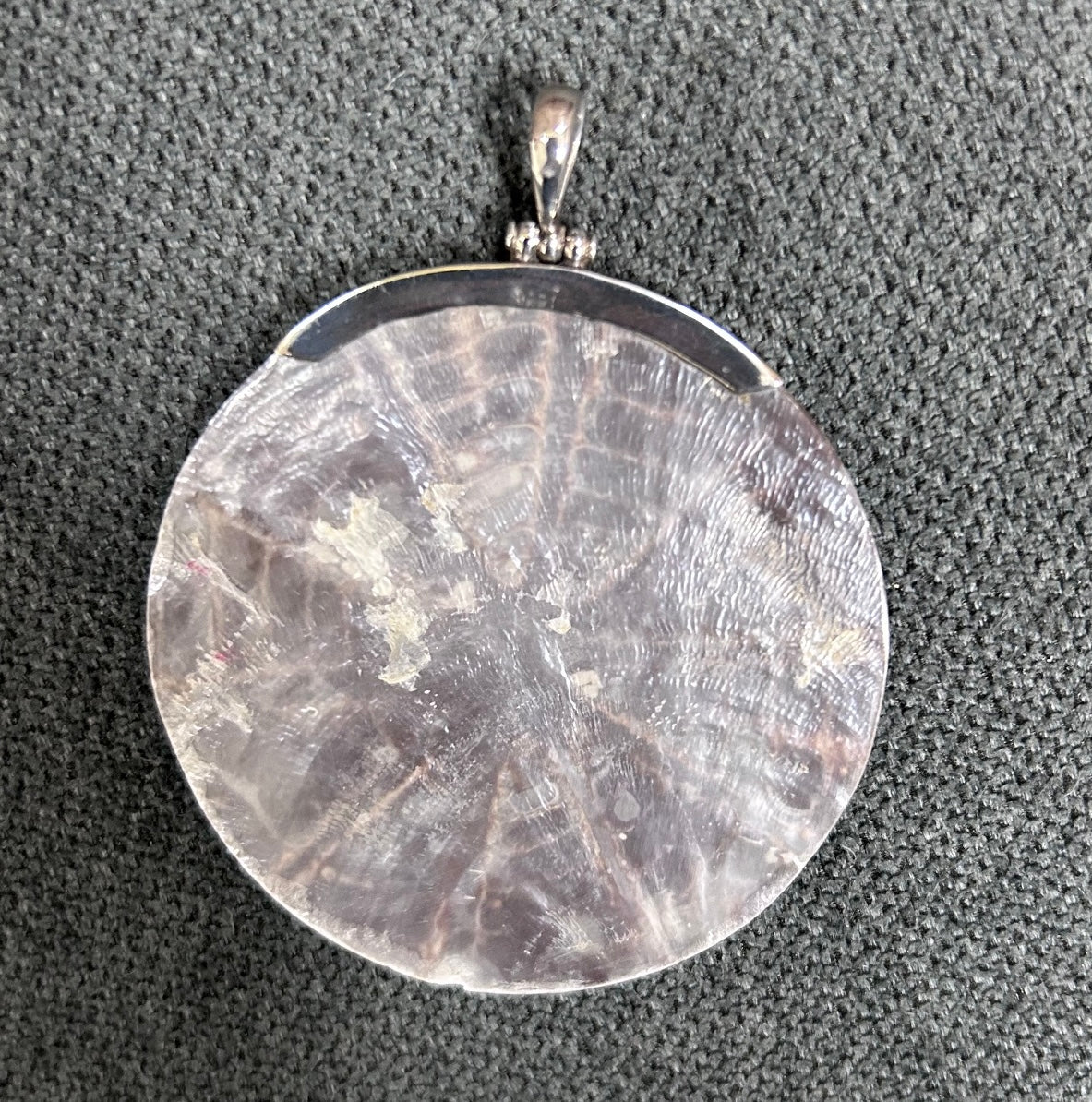 Pendant: Brown/Beige Nautilus Shell 925 Sterling Pendant (Second Chances)