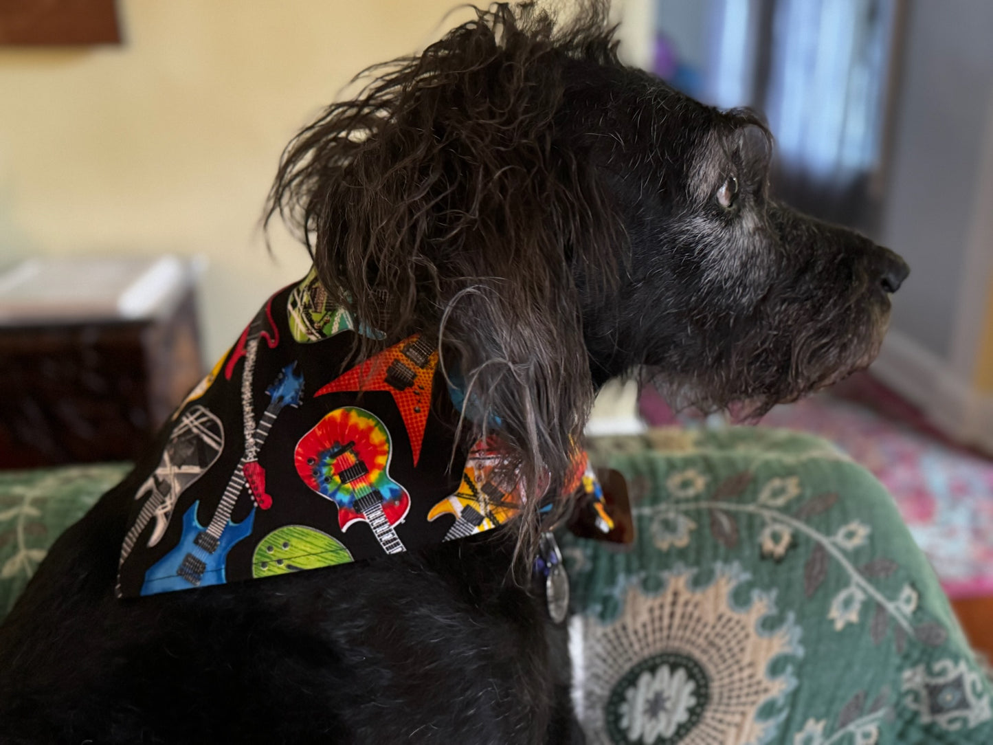 Pet Bandana: Reversible