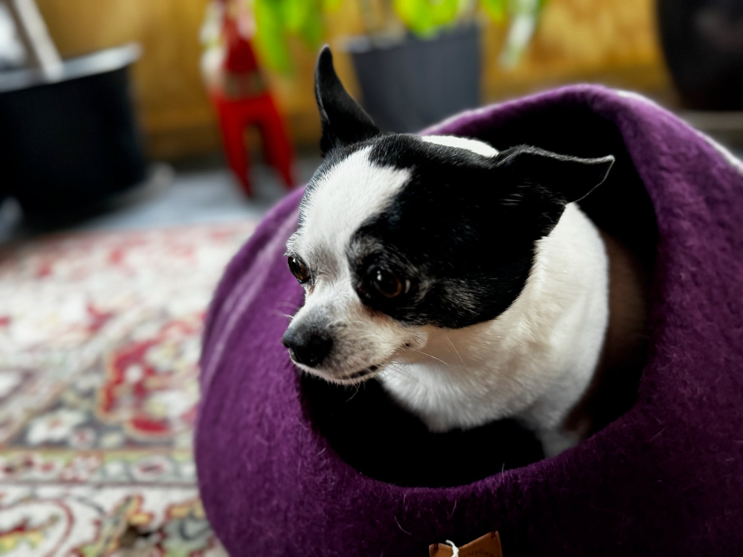 Felted Pet Bed/Cave