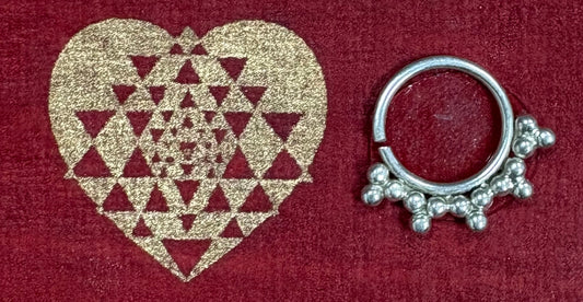 Nose Ring (Septum) /Sterling Silver (Various Styles)