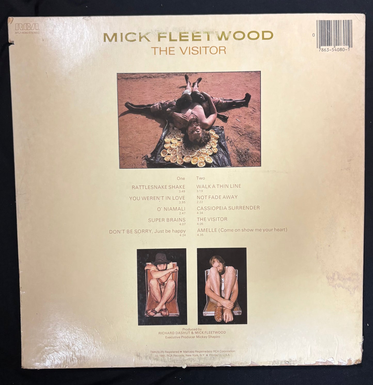Fleetwod, Mick - The Visitor (JH)
