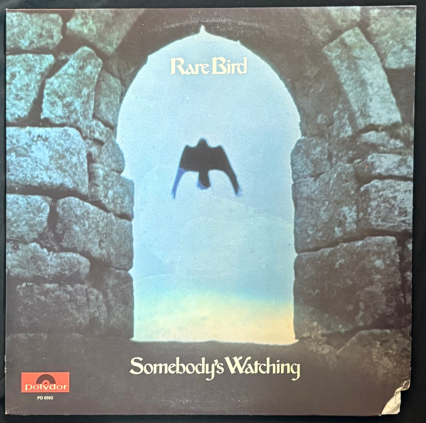 Rare Bird - Somebody’s Watching (JH)