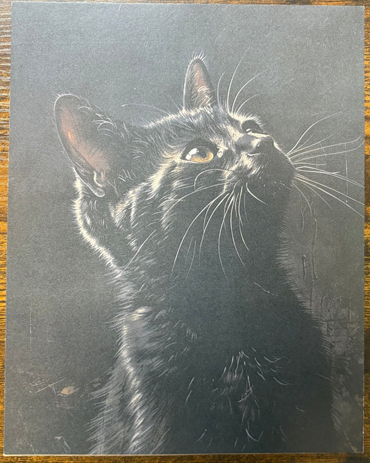 Art Print: Black Cat Art