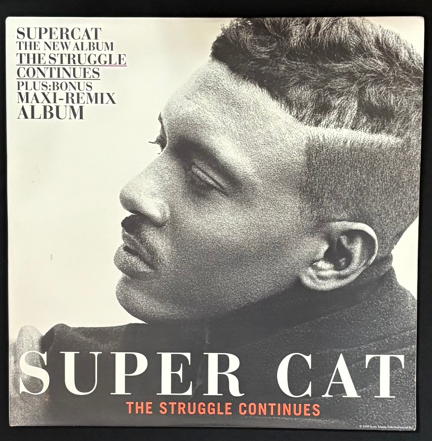 Super cat - The Struggle Continues (JH)