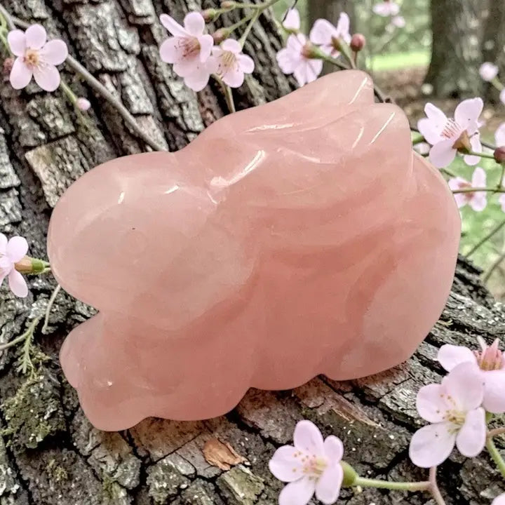 Crystal Bunnies: (Various)