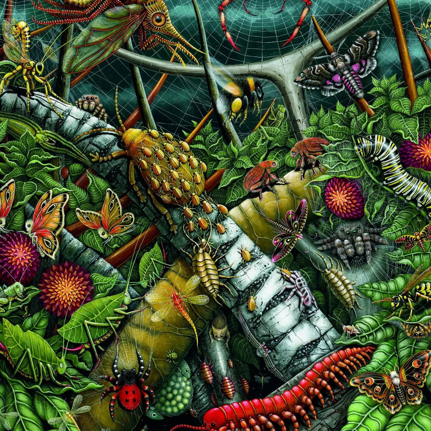 Puzzles: Velvet Touch "Orb Weavers" 1000pcs